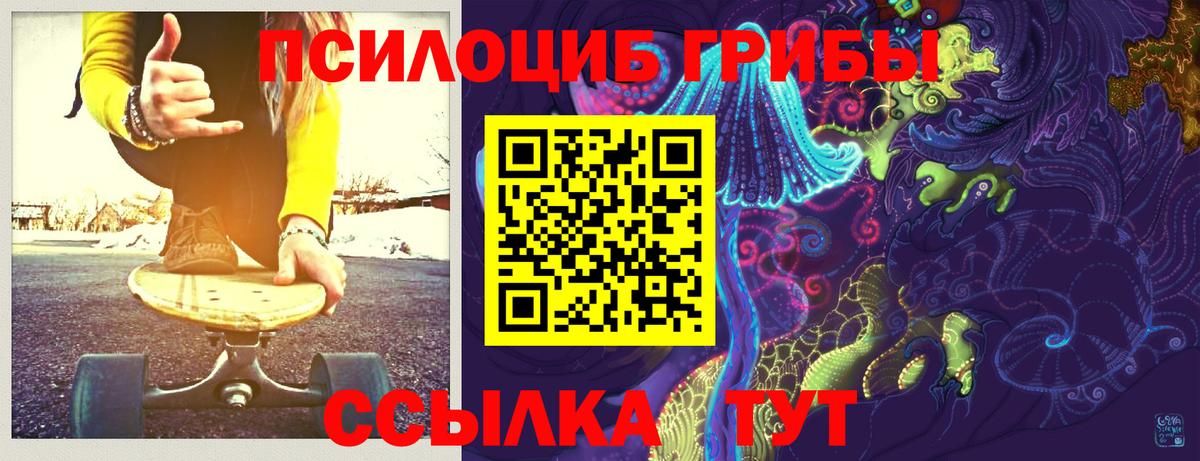 Галлюциногенные грибы мицелий  Вход с VPN  Кизилюрт 